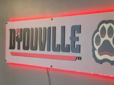 D'Youville 3D Backlit Sign